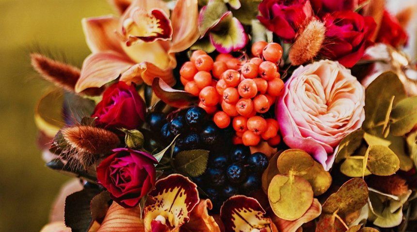 10 красивых цветов для клумбы, за которыми легко ухаживать